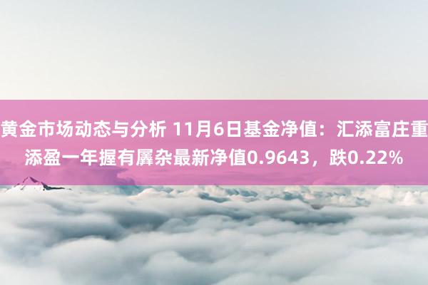 黄金市场动态与分析 11月6日基金净值：汇添富庄重添盈一年握有羼杂最新净值0.9643，跌0.22%