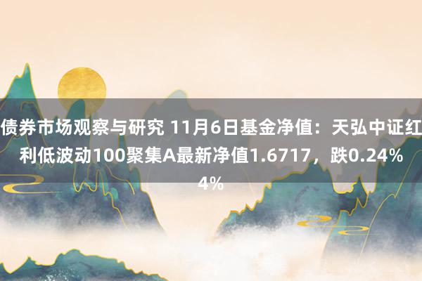 债券市场观察与研究 11月6日基金净值：天弘中证红利低波动100聚集A最新净值1.6717，跌0.24%