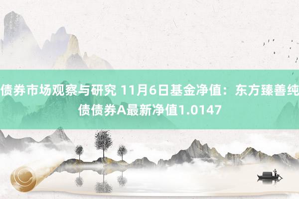 债券市场观察与研究 11月6日基金净值：东方臻善纯债债券A最新净值1.0147