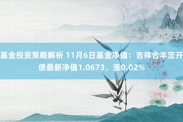 基金投资策略解析 11月6日基金净值：吉祥合丰定开债最新净值1.0673，涨0.02%