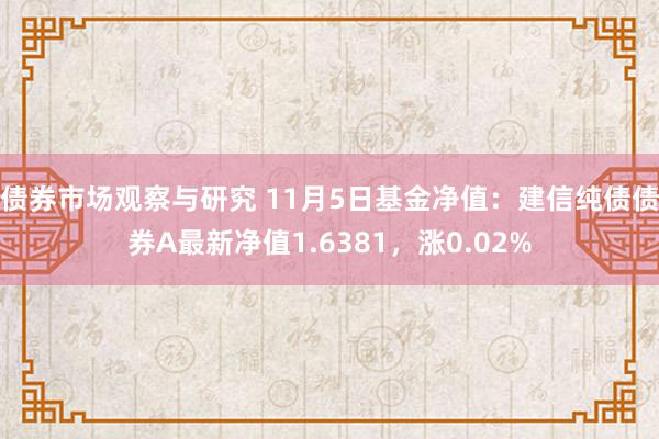 债券市场观察与研究 11月5日基金净值：建信纯债债券A最新净值1.6381，涨0.02%