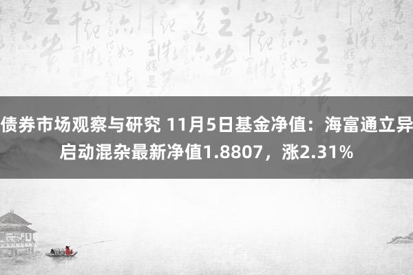 债券市场观察与研究 11月5日基金净值：海富通立异启动混杂最新净值1.8807，涨2.31%