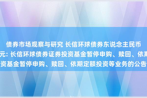 债券市场观察与研究 长信环球债券东说念主民币,长信环球债券好意思元: 长信环球债券证券投资基金暂停申购、赎回、依期定额投资等业务的公告