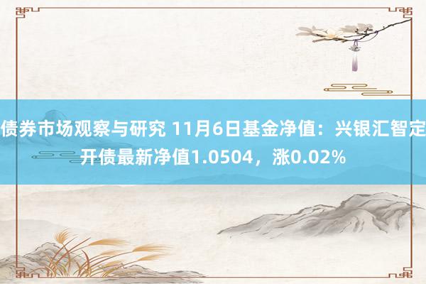 债券市场观察与研究 11月6日基金净值：兴银汇智定开债最新净值1.0504，涨0.02%