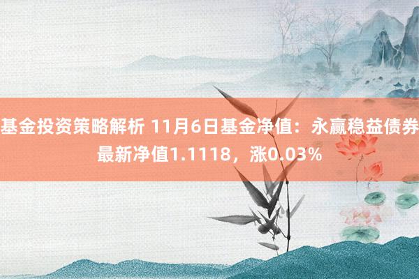 基金投资策略解析 11月6日基金净值：永赢稳益债券最新净值1.1118，涨0.03%