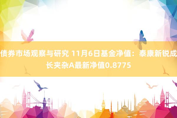 债券市场观察与研究 11月6日基金净值：泰康新锐成长夹杂A最新净值0.8775