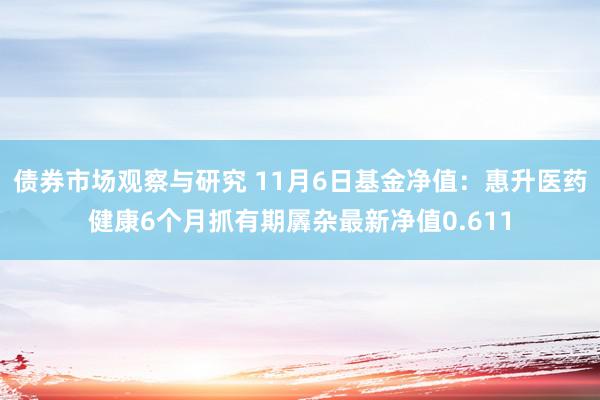 债券市场观察与研究 11月6日基金净值：惠升医药健康6个月抓有期羼杂最新净值0.611