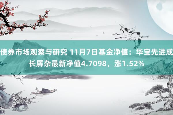 债券市场观察与研究 11月7日基金净值：华宝先进成长羼杂最新净值4.7098，涨1.52%