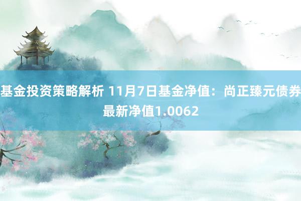 基金投资策略解析 11月7日基金净值：尚正臻元债券最新净值1.0062