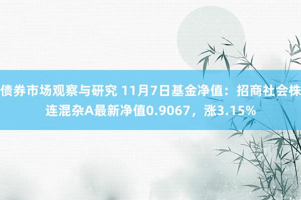 债券市场观察与研究 11月7日基金净值：招商社会株连混杂A最新净值0.9067，涨3.15%