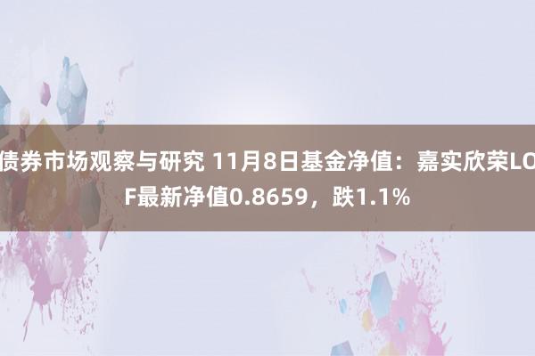 债券市场观察与研究 11月8日基金净值：嘉实欣荣LOF最新净值0.8659，跌1.1%