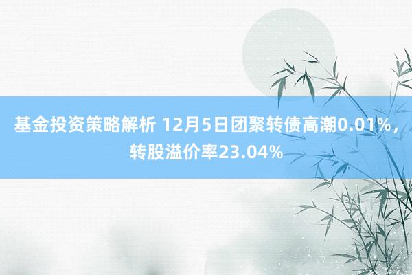 基金投资策略解析 12月5日团聚转债高潮0.01%，转股溢价率23.04%