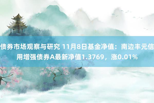 债券市场观察与研究 11月8日基金净值：南边丰元信用增强债券A最新净值1.3769，涨0.01%