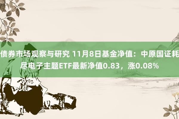 债券市场观察与研究 11月8日基金净值：中原国证耗尽电子主题ETF最新净值0.83，涨0.08%