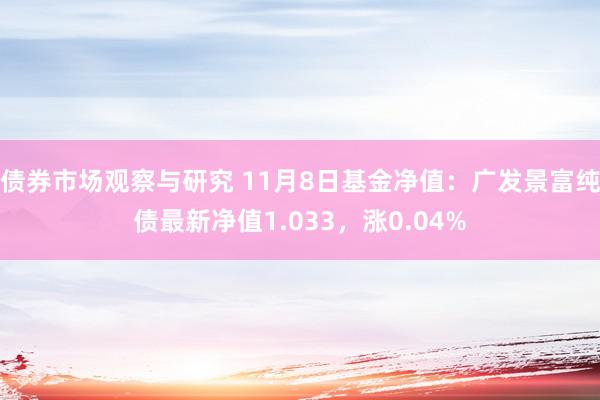 债券市场观察与研究 11月8日基金净值：广发景富纯债最新净值1.033，涨0.04%