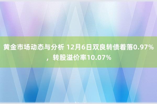 黄金市场动态与分析 12月6日双良转债着落0.97%，转股溢价率10.07%