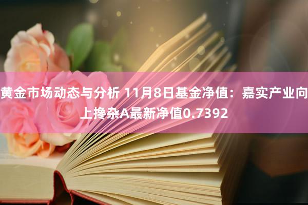 黄金市场动态与分析 11月8日基金净值：嘉实产业向上搀杂A最新净值0.7392