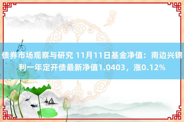 债券市场观察与研究 11月11日基金净值：南边兴锦利一年定开债最新净值1.0403，涨0.12%