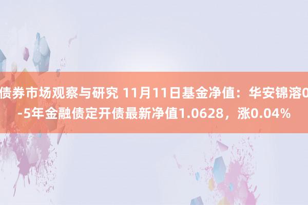 债券市场观察与研究 11月11日基金净值：华安锦溶0-5年金融债定开债最新净值1.0628，涨0.04%