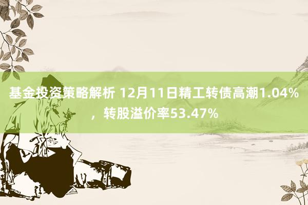 基金投资策略解析 12月11日精工转债高潮1.04%，转股溢价率53.47%