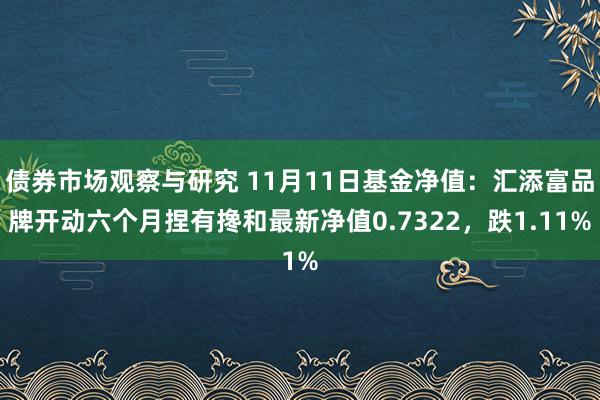 债券市场观察与研究 11月11日基金净值：汇添富品牌开动六个月捏有搀和最新净值0.7322，跌1.11%