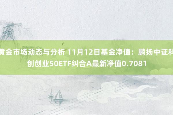 黄金市场动态与分析 11月12日基金净值：鹏扬中证科创创业50ETF纠合A最新净值0.7081