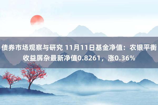 债券市场观察与研究 11月11日基金净值：农银平衡收益羼杂最新净值0.8261，涨0.36%