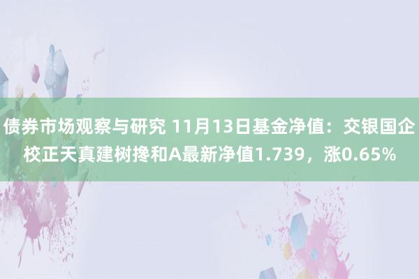 债券市场观察与研究 11月13日基金净值：交银国企校正天真建树搀和A最新净值1.739，涨0.65%