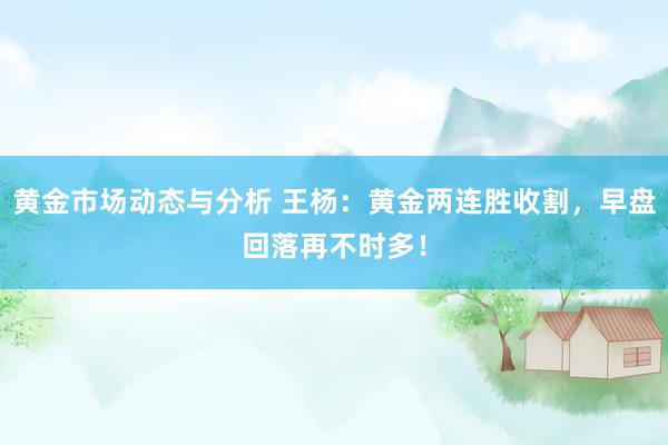 黄金市场动态与分析 王杨：黄金两连胜收割，早盘回落再不时多！