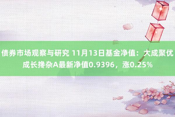 债券市场观察与研究 11月13日基金净值：大成聚优成长搀杂A最新净值0.9396，涨0.25%