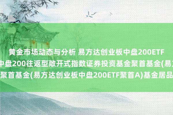 黄金市场动态与分析 易方达创业板中盘200ETF聚首A: 易方达创业板中盘200往返型敞开式指数证券投资基金聚首基金(易方达创业板中盘200ETF聚首A)基金居品而已节录更新