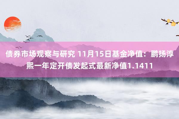 债券市场观察与研究 11月15日基金净值：鹏扬淳熙一年定开债发起式最新净值1.1411