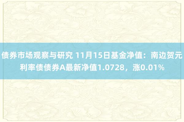 债券市场观察与研究 11月15日基金净值：南边贺元利率债债券A最新净值1.0728，涨0.01%