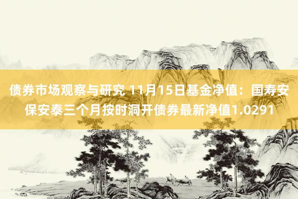 债券市场观察与研究 11月15日基金净值：国寿安保安泰三个月按时洞开债券最新净值1.0291