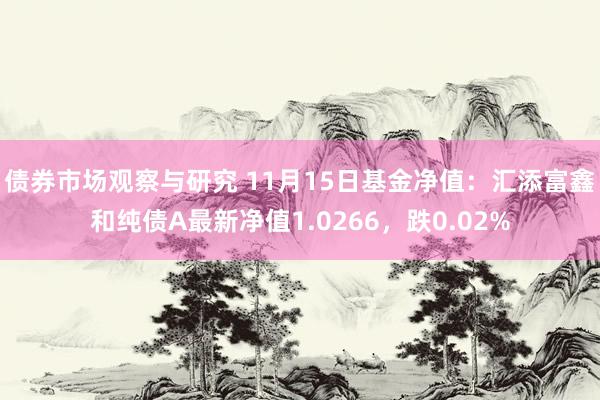 债券市场观察与研究 11月15日基金净值：汇添富鑫和纯债A最新净值1.0266，跌0.02%