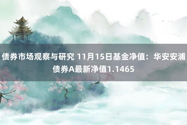 债券市场观察与研究 11月15日基金净值：华安安浦债券A最新净值1.1465