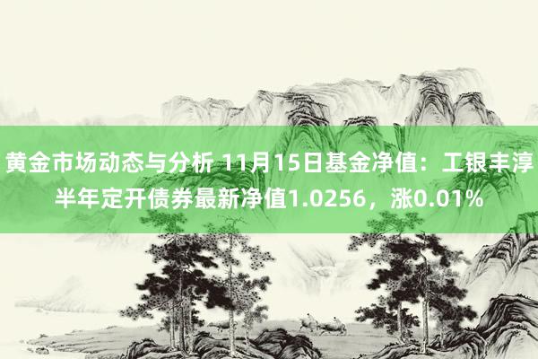 黄金市场动态与分析 11月15日基金净值：工银丰淳半年定开债券最新净值1.0256，涨0.01%