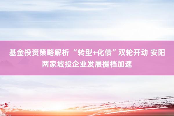 基金投资策略解析 “转型+化债”双轮开动 安阳两家城投企业发展提档加速