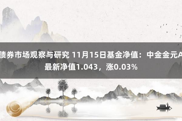 债券市场观察与研究 11月15日基金净值：中金金元A最新净值1.043，涨0.03%