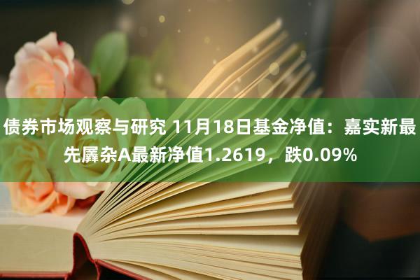 债券市场观察与研究 11月18日基金净值：嘉实新最先羼杂A最新净值1.2619，跌0.09%