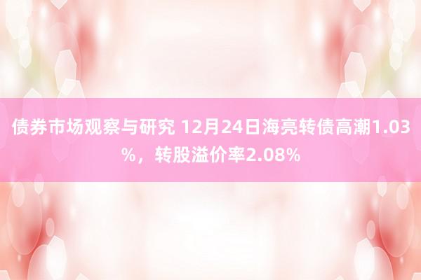 债券市场观察与研究 12月24日海亮转债高潮1.03%，转股溢价率2.08%