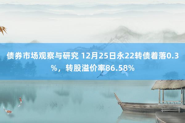 债券市场观察与研究 12月25日永22转债着落0.3%，转股溢价率86.58%