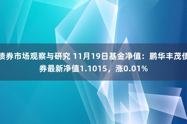 债券市场观察与研究 11月19日基金净值：鹏华丰茂债券最新净值1.1015，涨0.01%