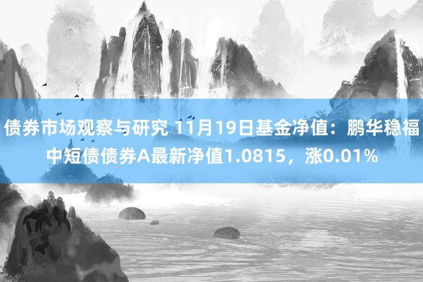 债券市场观察与研究 11月19日基金净值：鹏华稳福中短债债券A最新净值1.0815，涨0.01%