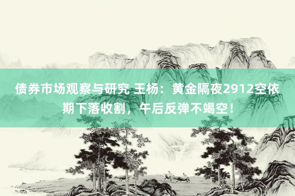 债券市场观察与研究 王杨：黄金隔夜2912空依期下落收割，午后反弹不竭空！