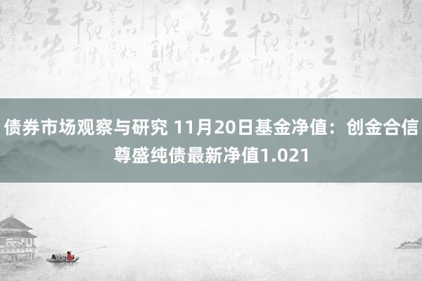 债券市场观察与研究 11月20日基金净值：创金合信尊盛纯债最新净值1.021