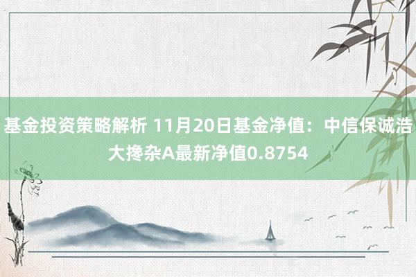 基金投资策略解析 11月20日基金净值：中信保诚浩大搀杂A最新净值0.8754