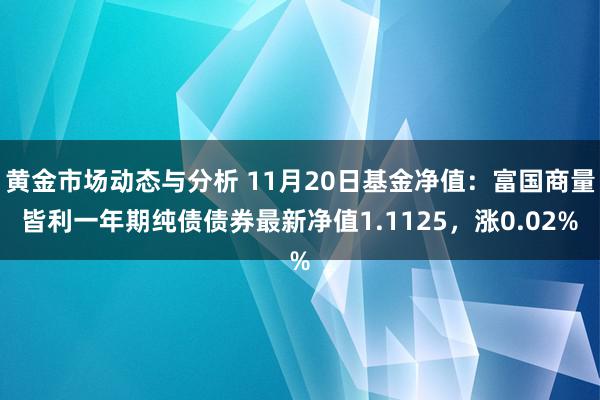 黄金市场动态与分析 11月20日基金净值：富国商量皆利一年期纯债债券最新净值1.1125，涨0.02%