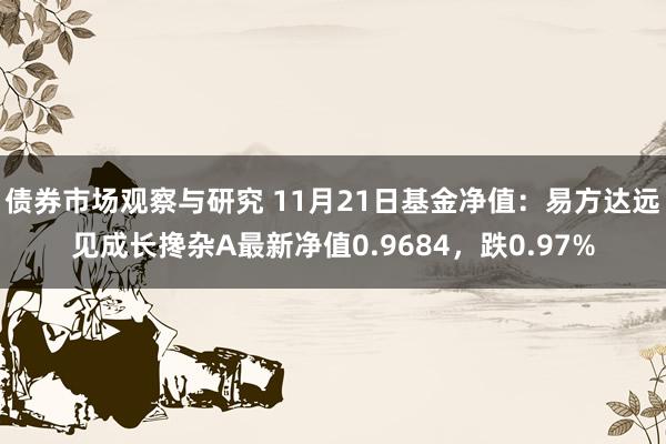 债券市场观察与研究 11月21日基金净值：易方达远见成长搀杂A最新净值0.9684，跌0.97%