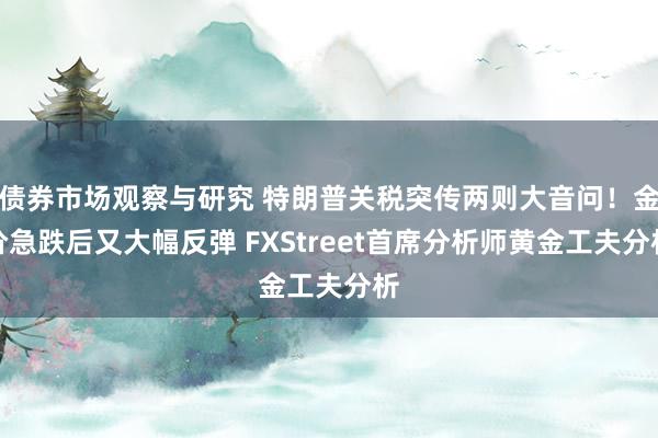 债券市场观察与研究 特朗普关税突传两则大音问！金价急跌后又大幅反弹 FXStreet首席分析师黄金工夫分析